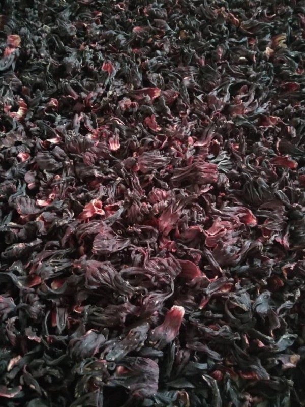 Hibiscus Flowers from Uganda